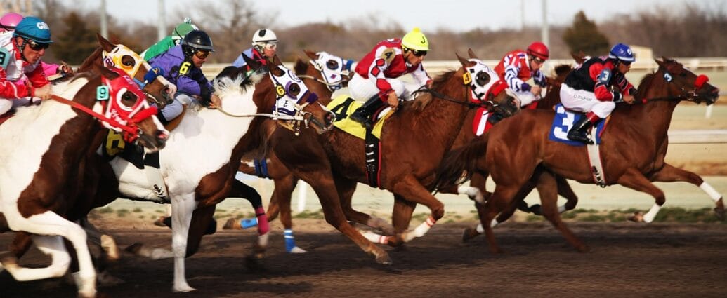 horses, horse racing, racetrack, horse race, jockey, race, racing, rider, horseback, thoroughbred, brown horse, horse racing, horse racing, horse racing, horse racing, horse racing, racetrack