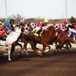 horses, horse racing, racetrack, horse race, jockey, race, racing, rider, horseback, thoroughbred, brown horse, horse racing, horse racing, horse racing, horse racing, horse racing, racetrack