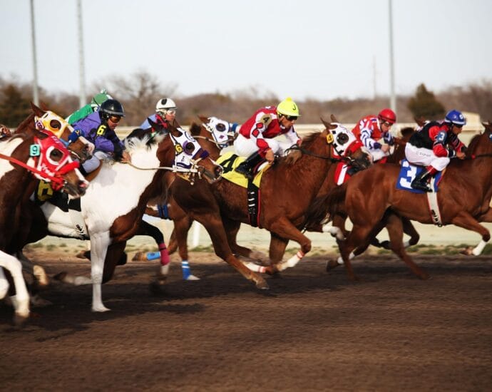 horses, horse racing, racetrack, horse race, jockey, race, racing, rider, horseback, thoroughbred, brown horse, horse racing, horse racing, horse racing, horse racing, horse racing, racetrack