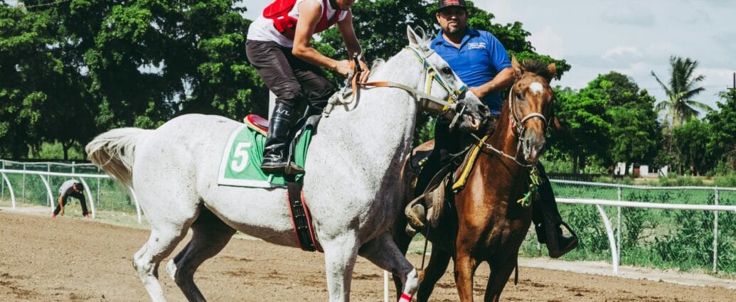 A thrilling horse race featuring a jockey in action and a trainer at a racetrack on a sunny day.