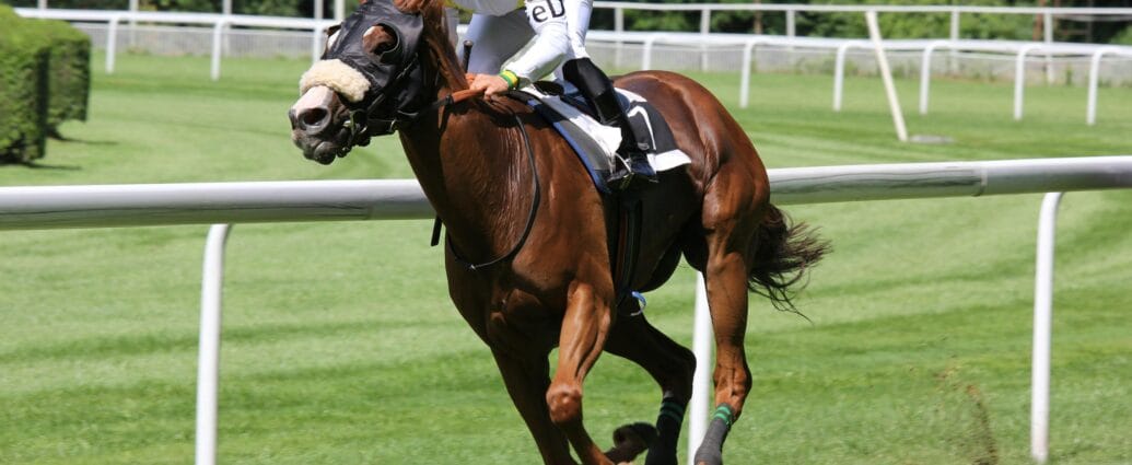 A thrilling horse racing scene with a jockey urging the horse forward on a sunny day.
