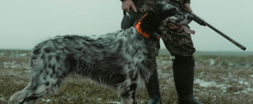 A hunter with a hunting dog stands on a snowy field, showcasing outdoor adventure.
