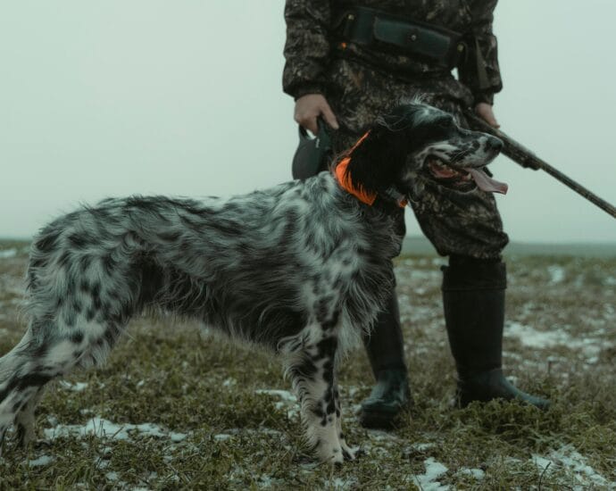 A hunter with a hunting dog stands on a snowy field, showcasing outdoor adventure.